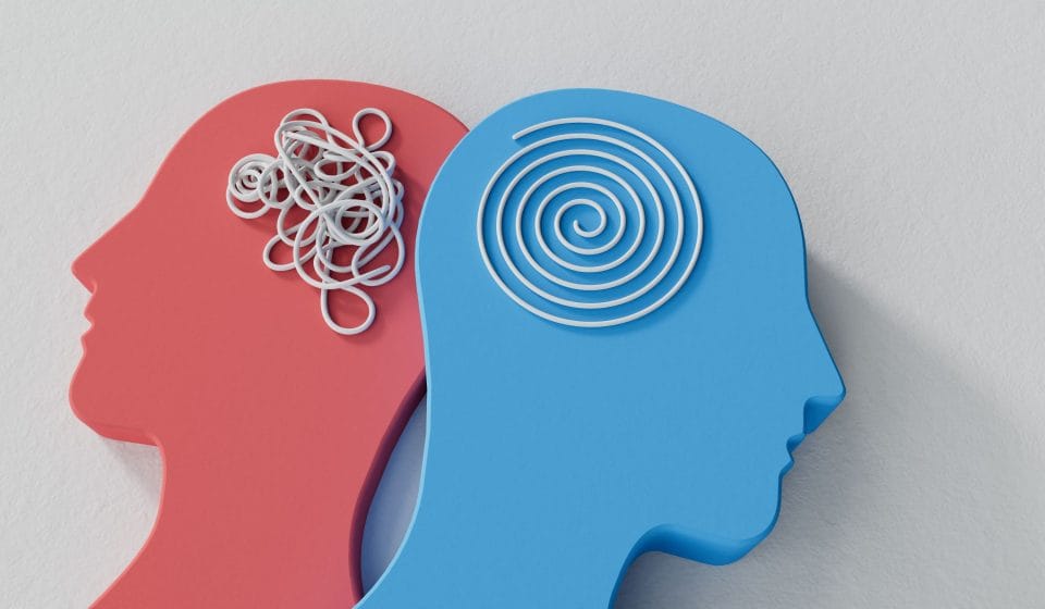 Nörogelişimsel Bozukluklar